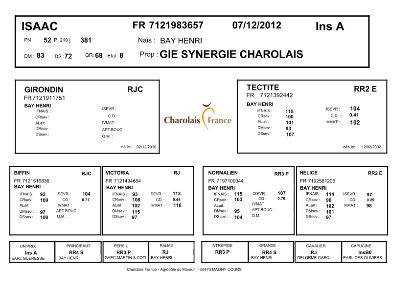 genealogie taureau charolais ISAAC