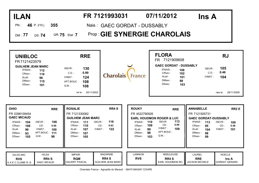 genealogie taureau charolais ILAN