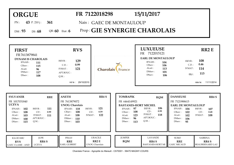 genealogie taureau charolais ORGUE