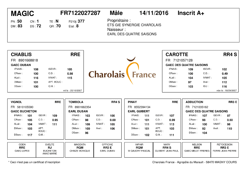 genealogie taureau charolais MAGIC