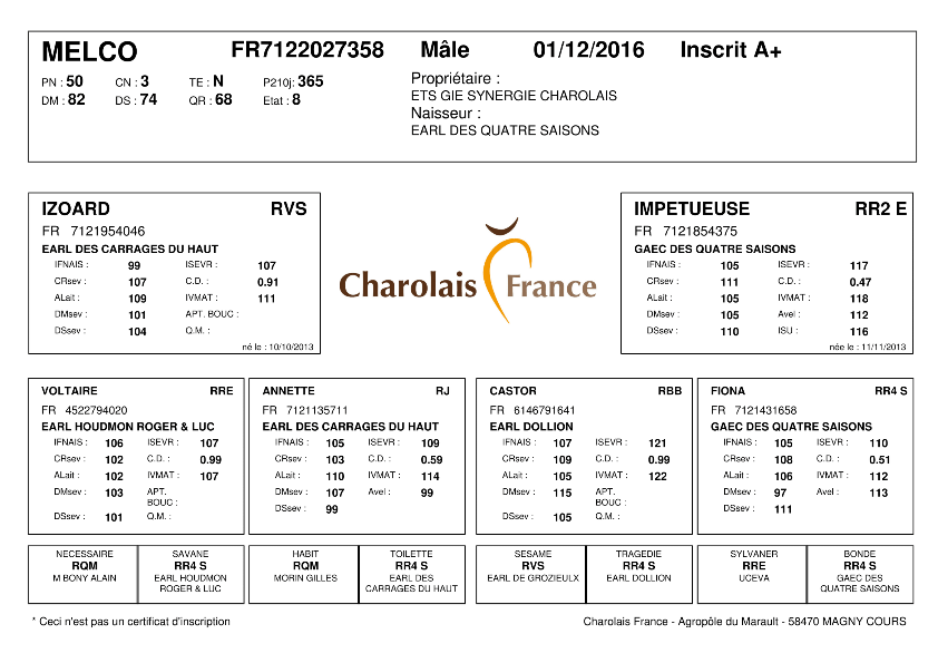 genealogie taureau charolais MELCO