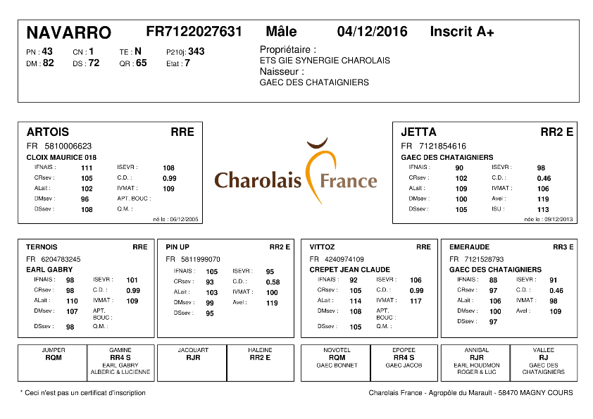 genealogie taureau charolais NAVARRO