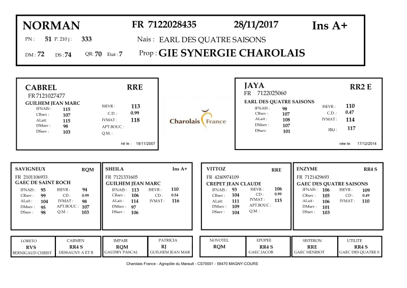 genealogie taureau charolais NORMAN