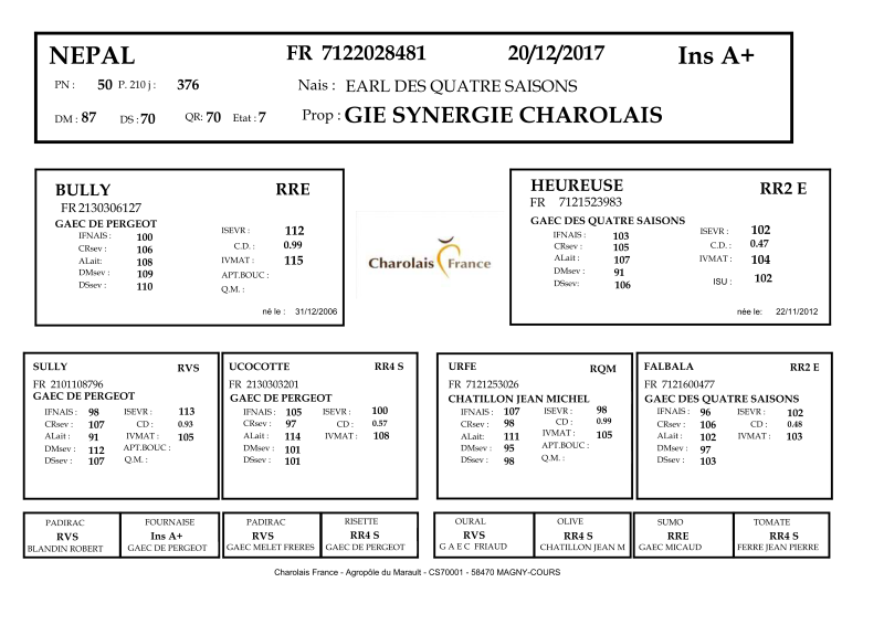 genealogie taureau charolais NEPAL