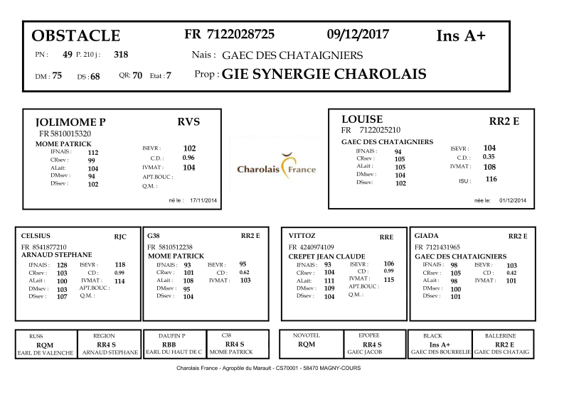 genealogie taureau charolais OBSTACLE