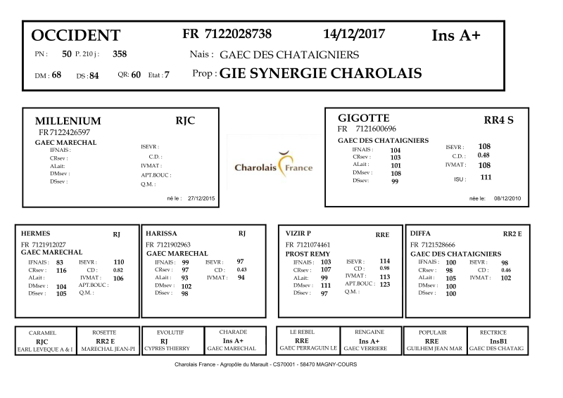 genealogie taureau charolais OCCIDENT