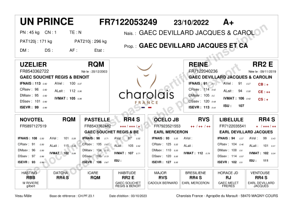 genealogie taureau charolais UN PRINCE
