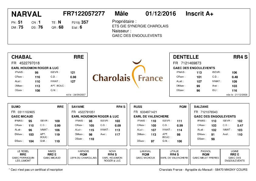 genealogie taureau charolais NARVAL