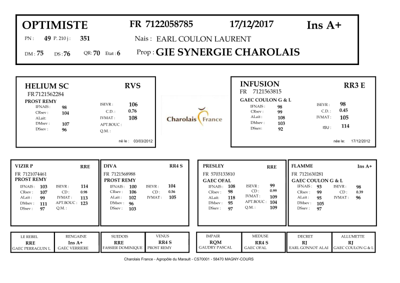 genealogie taureau charolais OPTIMISTE
