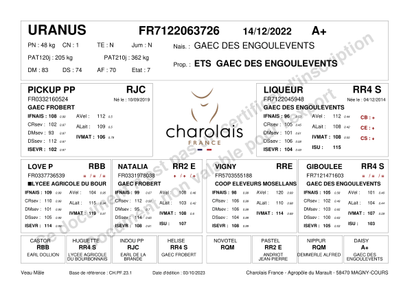 genealogie taureau charolais URANUS