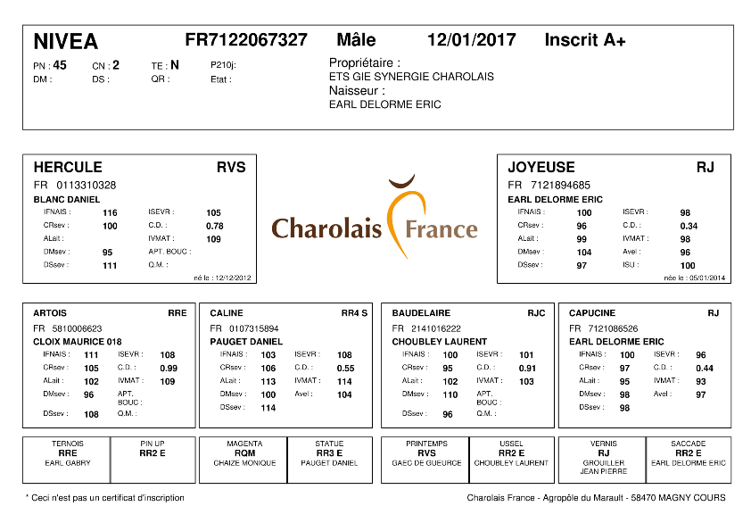 genealogie taureau charolais NIVEA