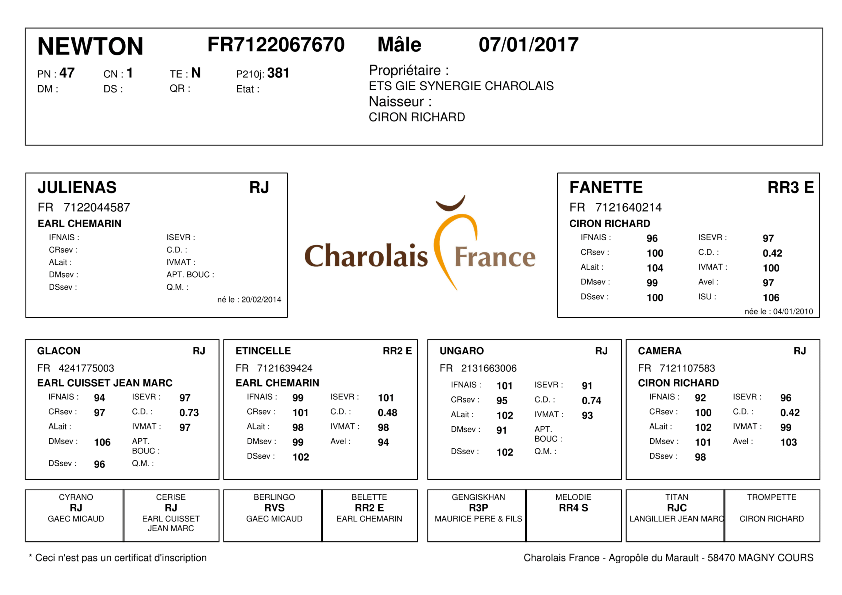 genealogie taureau charolais NEWTON