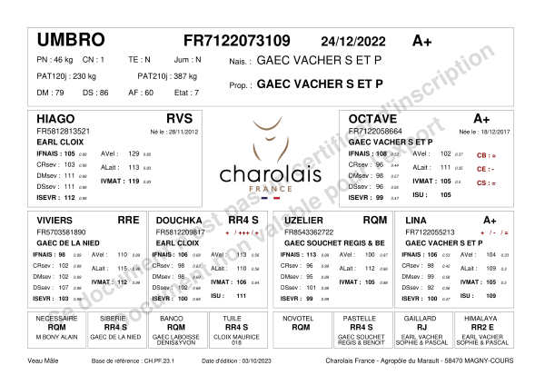 genealogie taureau charolais UMBRO