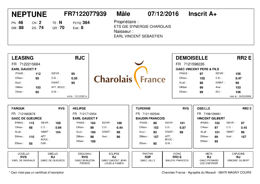 genealogie taureau charolais NEPTUNE