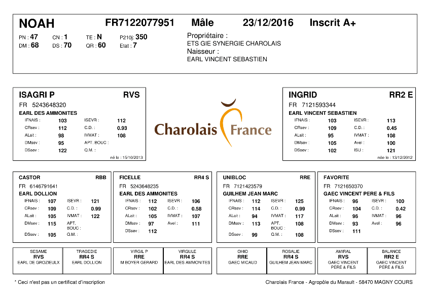 genealogie taureau charolais NOAH