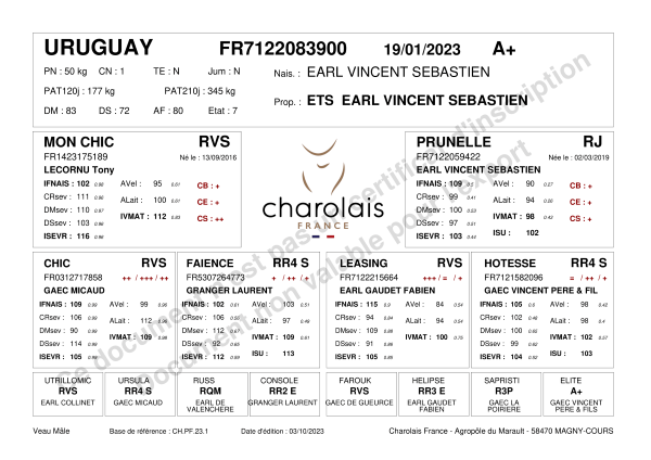 genealogie taureau charolais URUGUAY