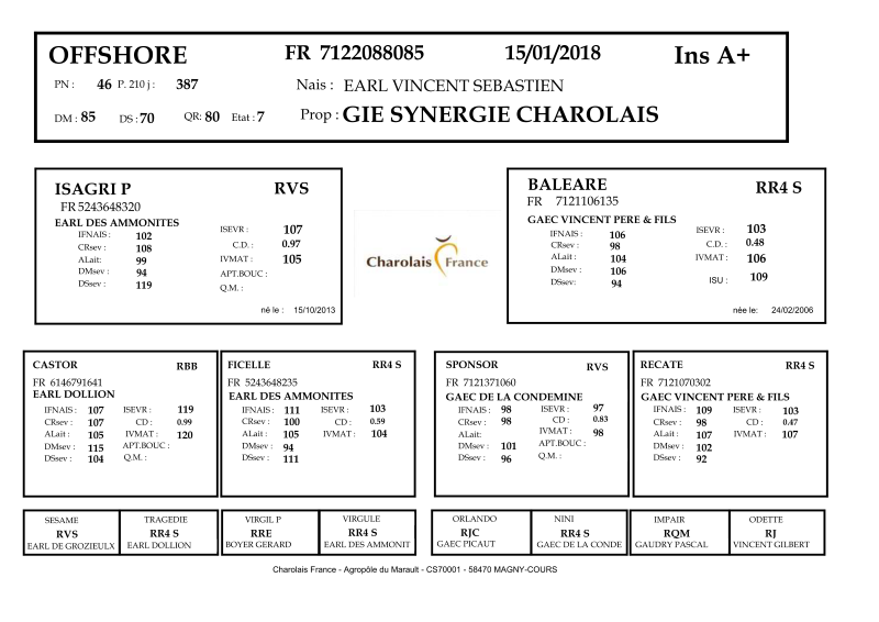genealogie taureau charolais OFFSHORE