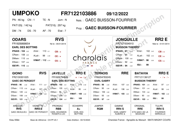 genealogie taureau charolais UMPOKO