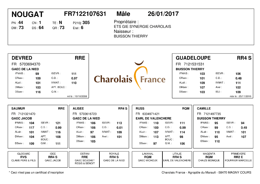 genealogie taureau charolais NOUGAT
