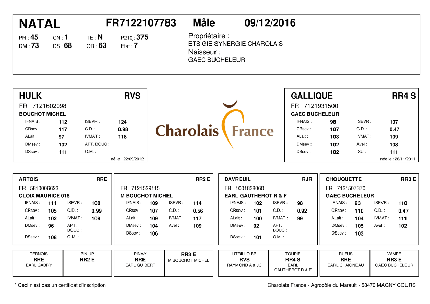 genealogie taureau charolais NATAL
