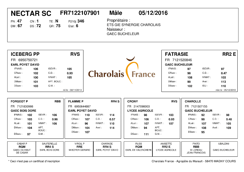 genealogie taureau charolais NECTAR SC
