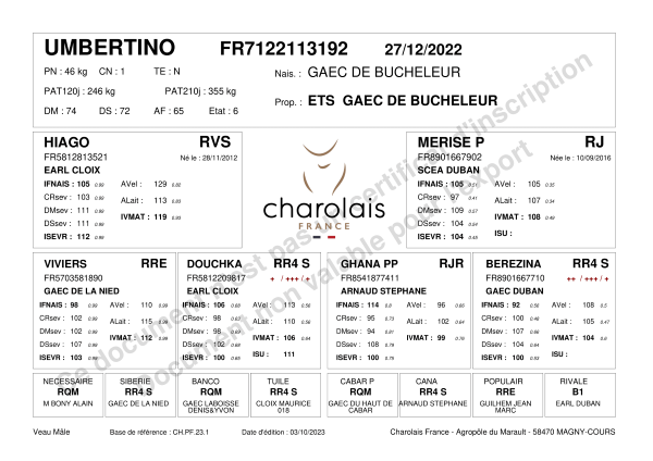 genealogie taureau charolais UMBERTINO