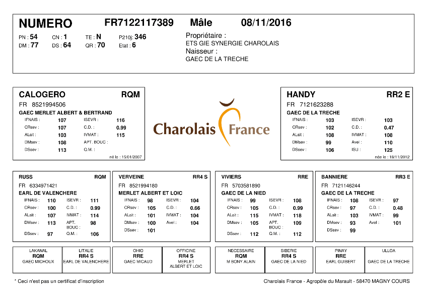 genealogie taureau charolais NUMERO