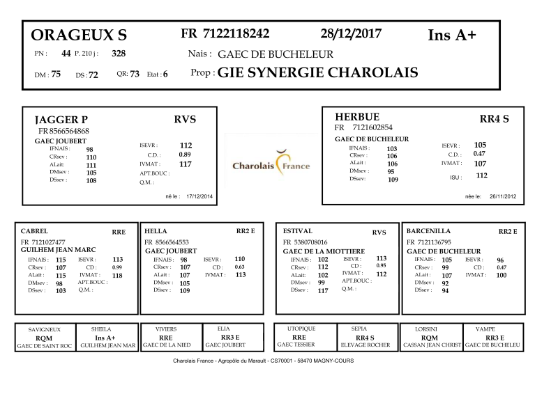 genealogie taureau charolais ORAGEUX S