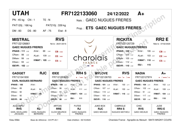 genealogie taureau charolais UTAH