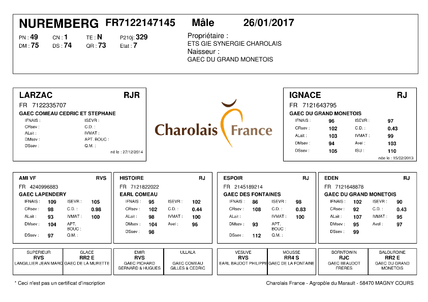 genealogie taureau charolais NUREMBERG