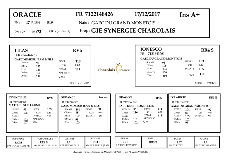genealogie taureau charolais ORACLE