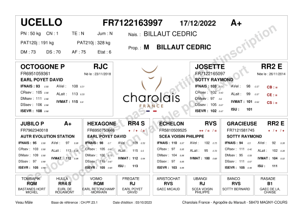 genealogie taureau charolais UCELLO