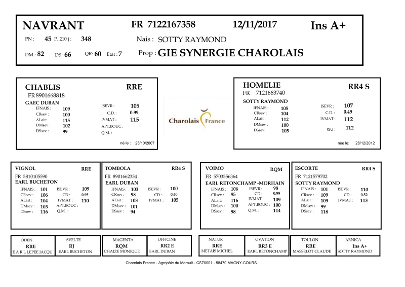 genealogie taureau charolais NAVRANT