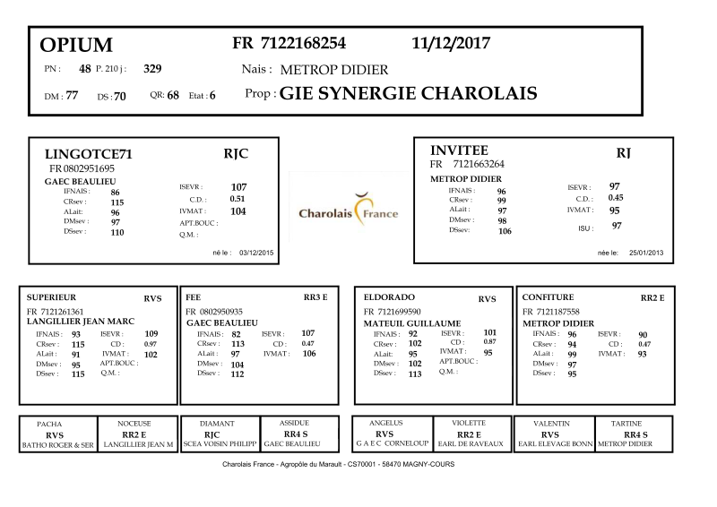 genealogie taureau charolais OPIUM