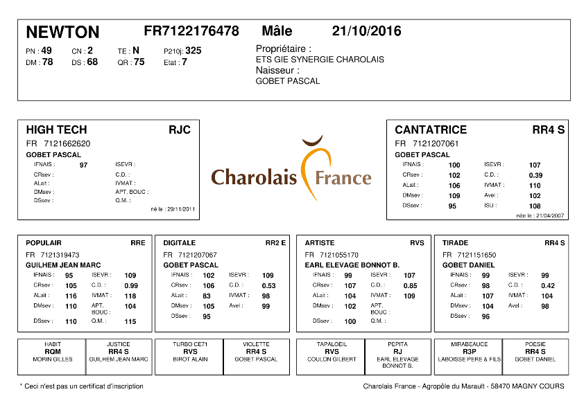 genealogie taureau charolais NEWTON