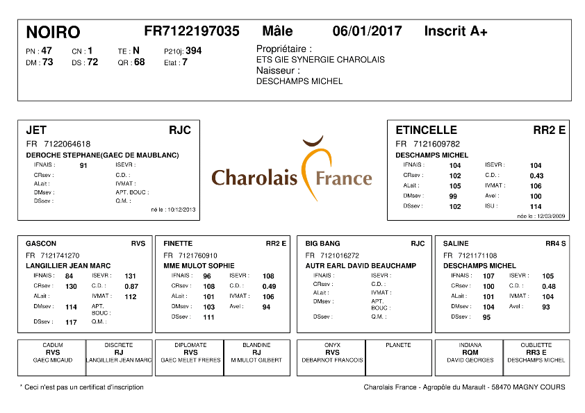 genealogie taureau charolais NOIRO