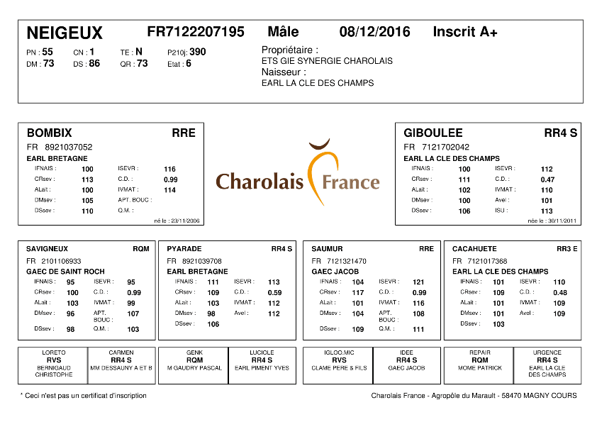 genealogie taureau charolais NEIGEUX
