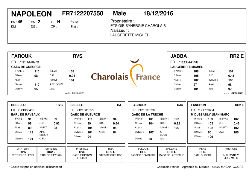 genealogie taureau charolais NAPOLEON
