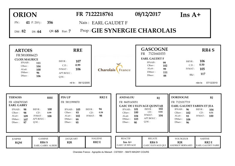 genealogie taureau charolais ORION