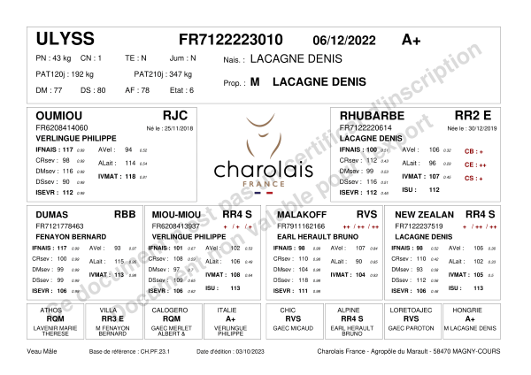 genealogie taureau charolais ULYSS