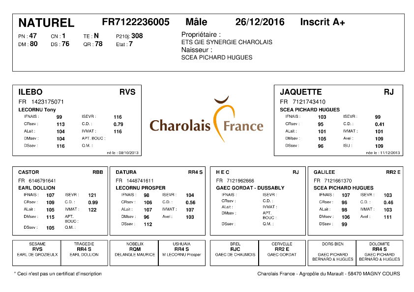 genealogie taureau charolais NATUREL