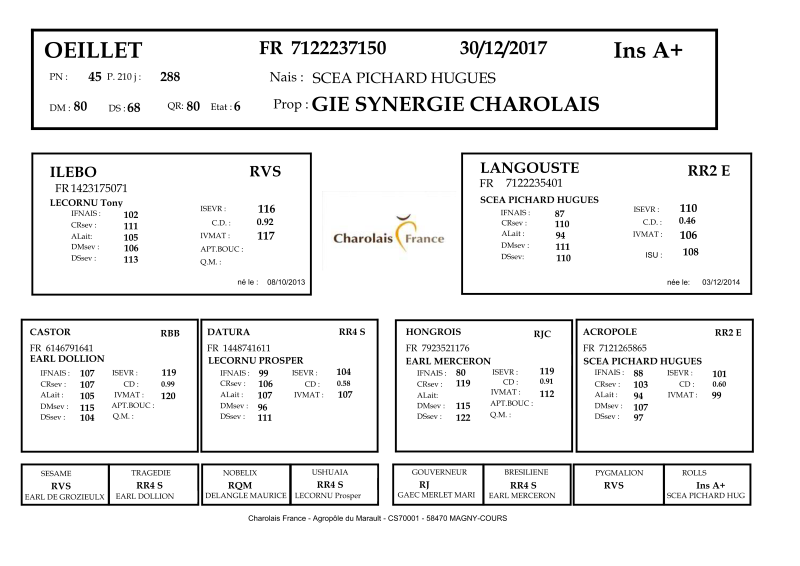 genealogie taureau charolais OEILLET