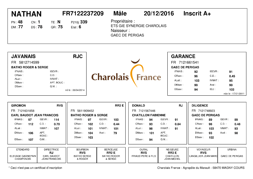 genealogie taureau charolais NATHAN