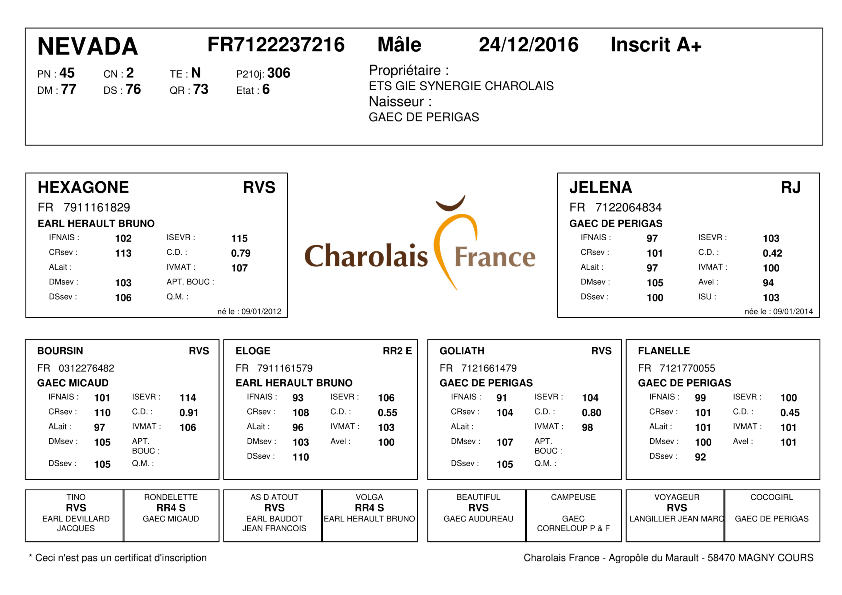 genealogie taureau charolais NEVADA