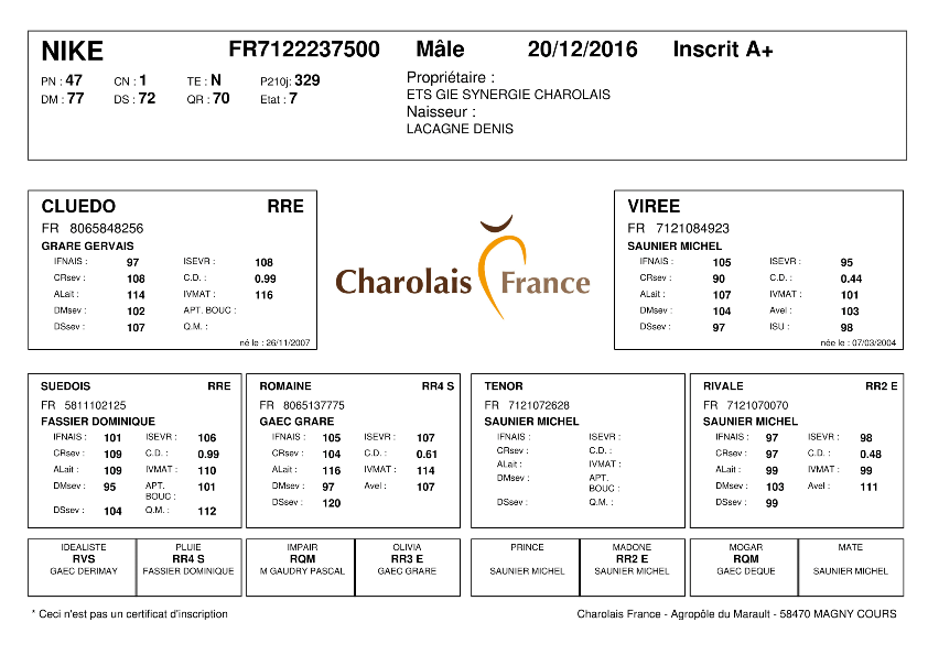 genealogie taureau charolais NIKE