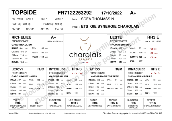genealogie taureau charolais TOPSIDE