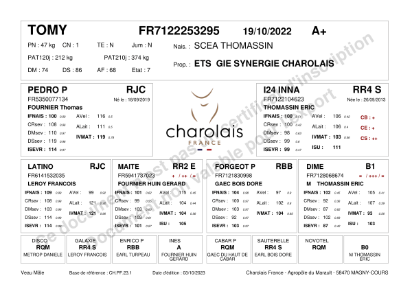 genealogie taureau charolais TOMY