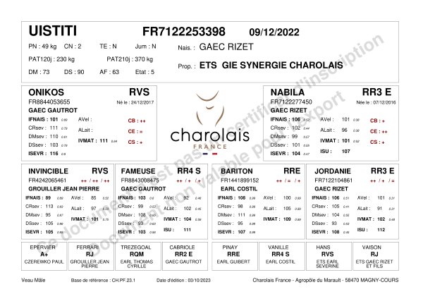 genealogie taureau charolais UISTITI