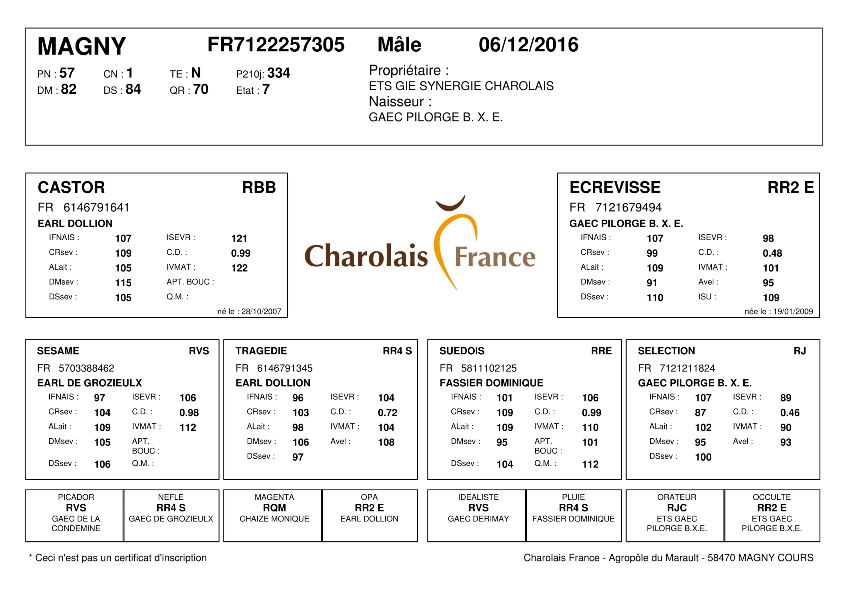 genealogie taureau charolais MAGNY
