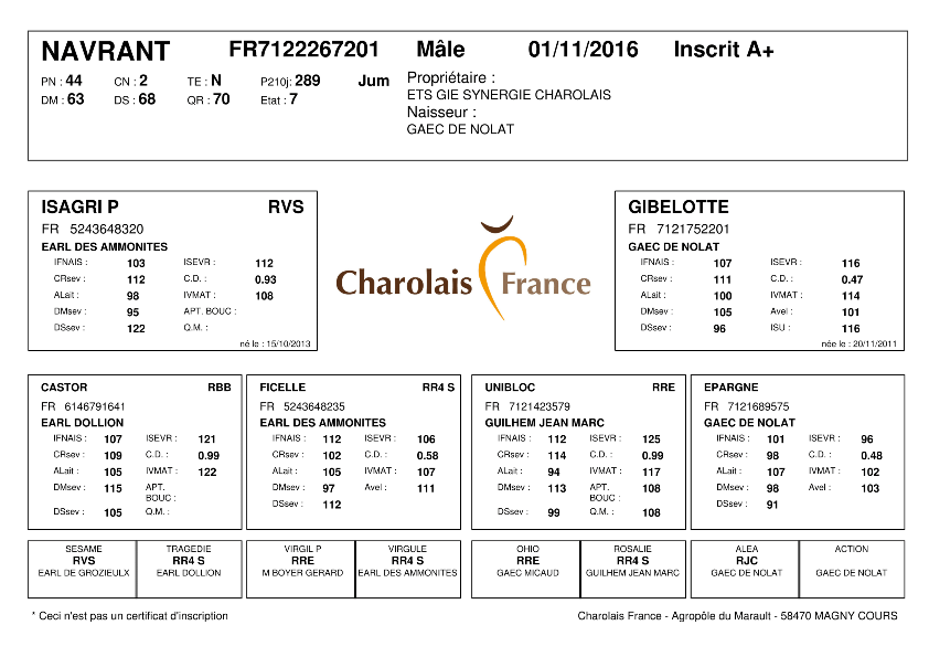 genealogie taureau charolais NAVRANT